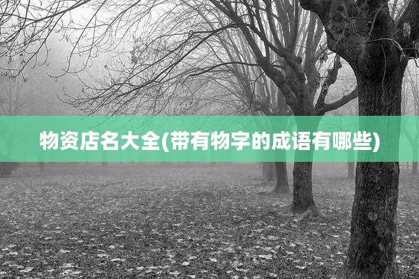 物资店名大全(带有物字的成语有哪些)