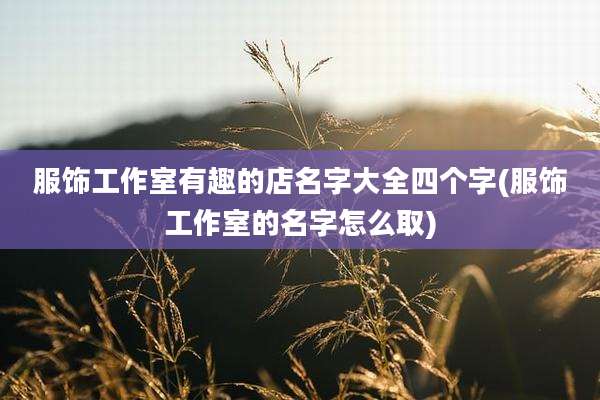 服饰工作室有趣的店名字大全四个字(服饰工作室的名字怎么取)