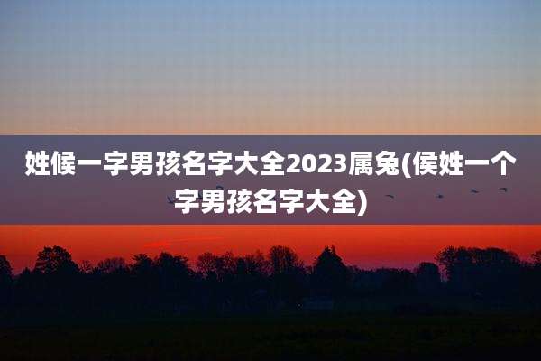 姓候一字男孩名字大全2023属兔(侯姓一个字男孩名字大全)