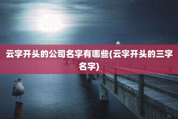 云字开头的公司名字有哪些(云字开头的三字名字)