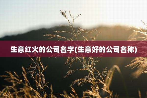 生意红火的公司名字(生意好的公司名称)