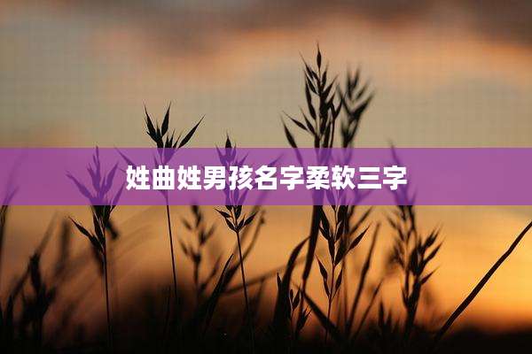 姓曲姓男孩名字柔软三字