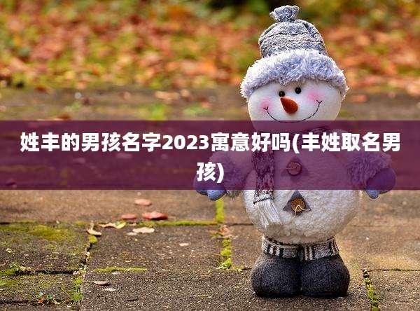 姓丰的男孩名字2023寓意好吗(丰姓取名男孩)