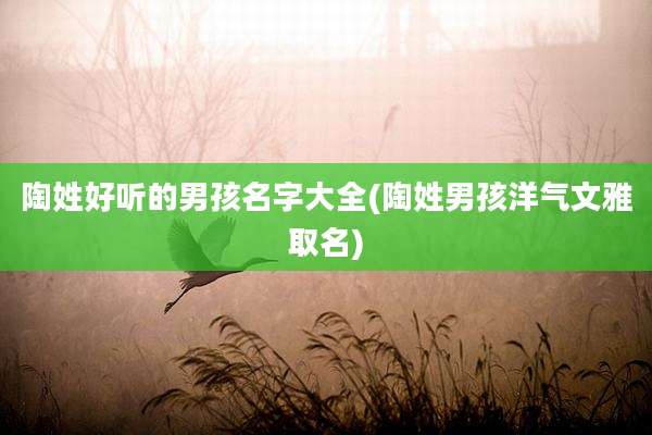 陶姓好听的男孩名字大全(陶姓男孩洋气文雅取名)