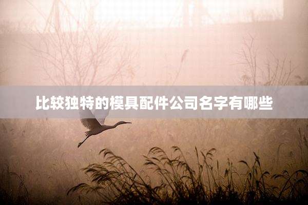比较独特的模具配件公司名字有哪些