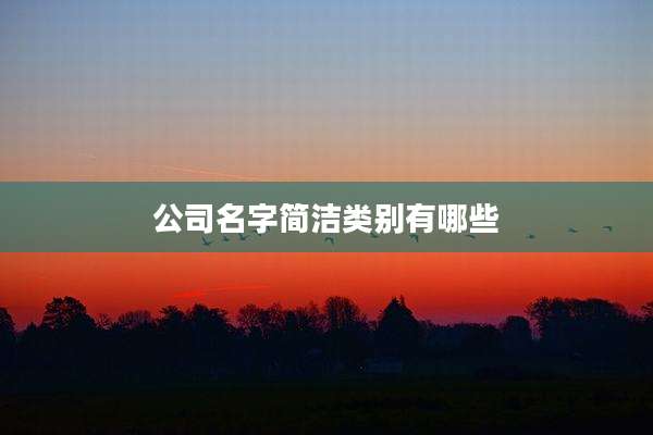 公司名字简洁类别有哪些