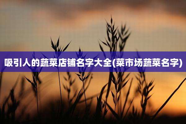 吸引人的蔬菜店铺名字大全(菜市场蔬菜名字)