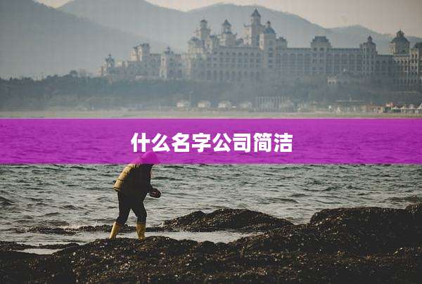 什么名字公司简洁