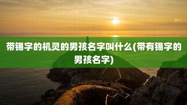 带锡字的机灵的男孩名字叫什么(带有锡字的男孩名字)