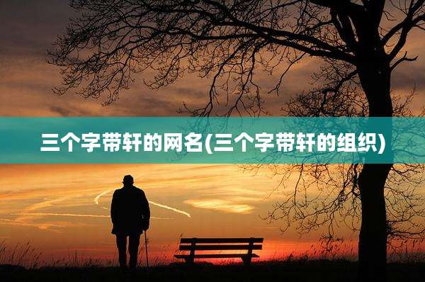 三个字带轩的网名(三个字带轩的组织)