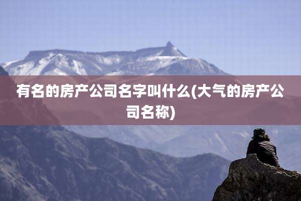 有名的房产公司名字叫什么(大气的房产公司名称)