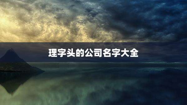 理字头的公司名字大全