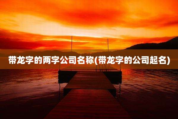 带龙字的两字公司名称(带龙字的公司起名)