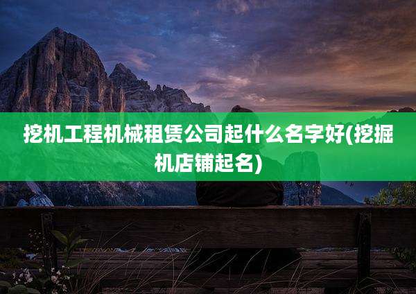 挖机工程机械租赁公司起什么名字好(挖掘机店铺起名)
