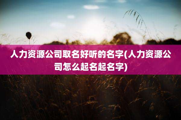 人力资源公司取名好听的名字(人力资源公司怎么起名起名字)