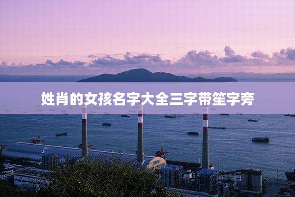 姓肖的女孩名字大全三字带笙字旁