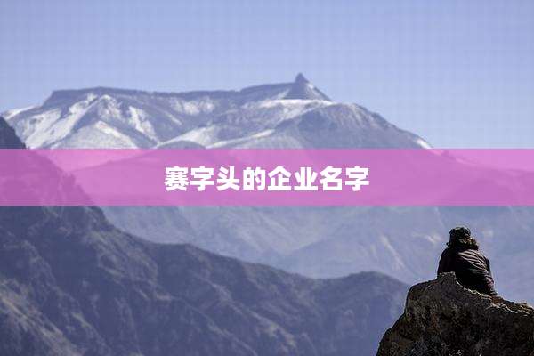 赛字头的企业名字