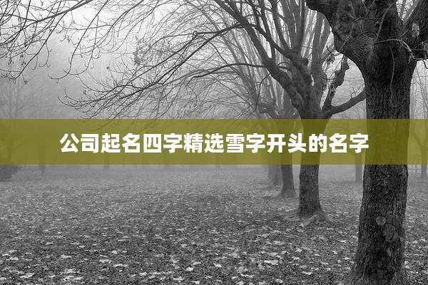 公司起名四字精选雪字开头的名字