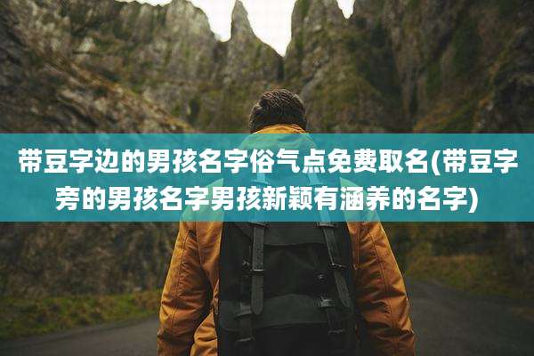 带豆字边的男孩名字俗气点免费取名(带豆字旁的男孩名字男孩新颖有涵养的名字)