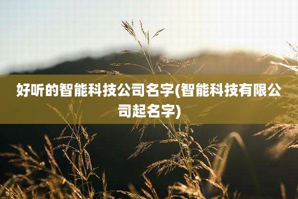 好听的智能科技公司名字(智能科技有限公司起名字)