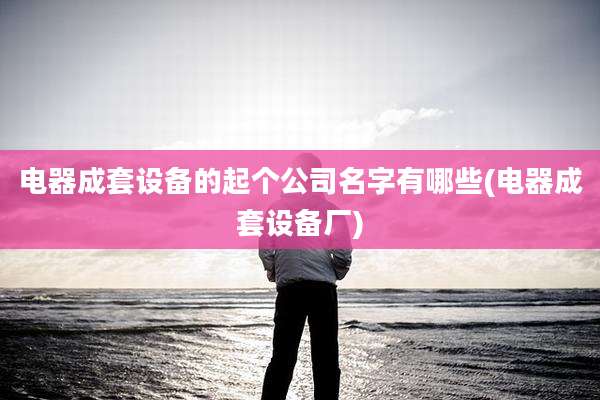 电器成套设备的起个公司名字有哪些(电器成套设备厂)