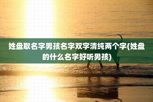 姓盘取名字男孩名字双字清纯两个字(姓盘的什么名字好听男孩)