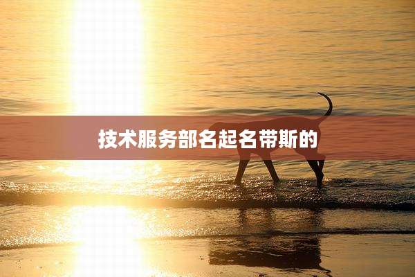 技术服务部名起名带斯的