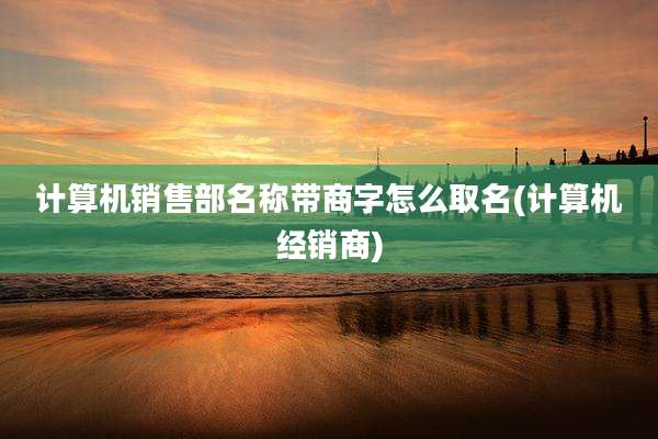 计算机销售部名称带商字怎么取名(计算机经销商)