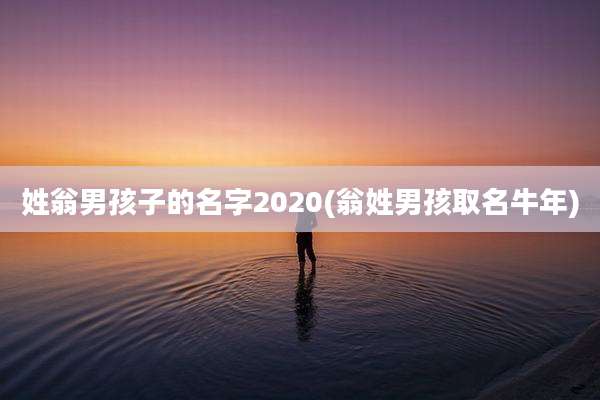姓翁男孩子的名字2020(翁姓男孩取名牛年)