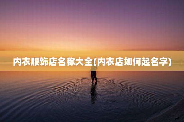 内衣服饰店名称大全(内衣店如何起名字)