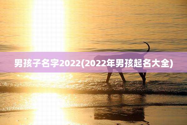 男孩子名字2022(2022年男孩起名大全)
