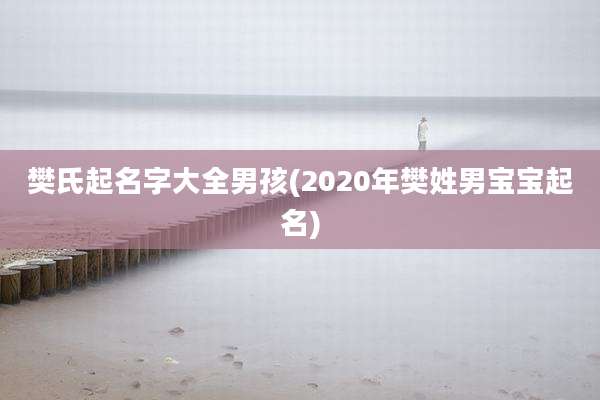 樊氏起名字大全男孩(2020年樊姓男宝宝起名)