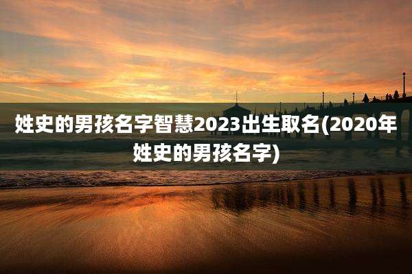 姓史的男孩名字智慧2023出生取名(2020年姓史的男孩名字)