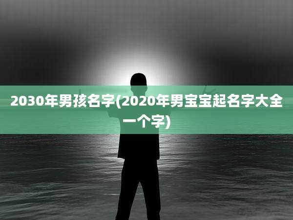 2030年男孩名字(2020年男宝宝起名字大全一个字)