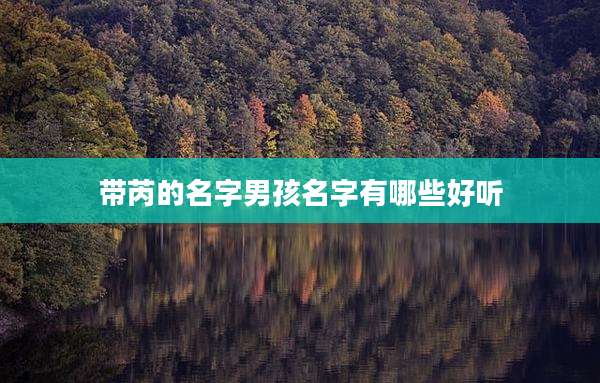 带芮的名字男孩名字有哪些好听