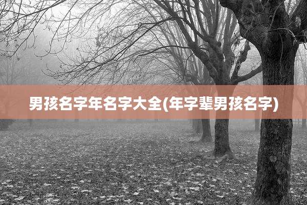 男孩名字年名字大全(年字辈男孩名字)