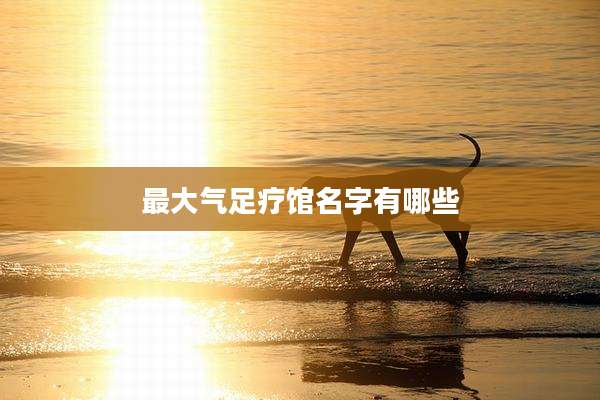 最大气足疗馆名字有哪些