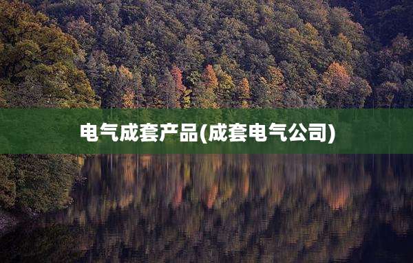 电气成套产品(成套电气公司)