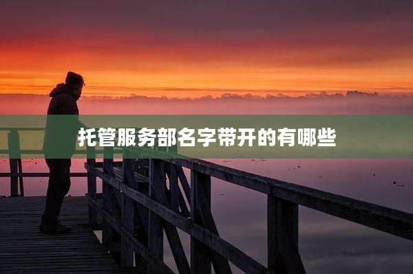 托管服务部名字带开的有哪些