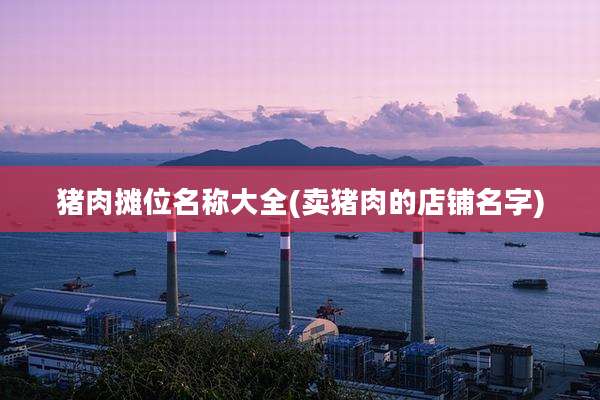 猪肉摊位名称大全(卖猪肉的店铺名字)