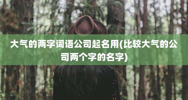 大气的两字词语公司起名用(比较大气的公司两个字的名字)