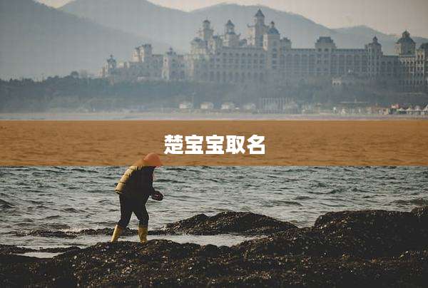 楚宝宝取名