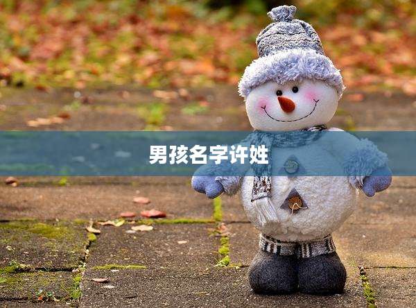男孩名字许姓