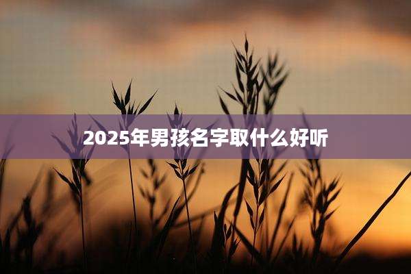 2025年男孩名字取什么好听
