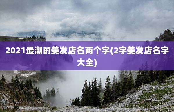 2021最潮的美发店名两个字(2字美发店名字大全)