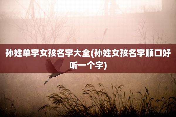 孙姓单字女孩名字大全(孙姓女孩名字顺口好听一个字)