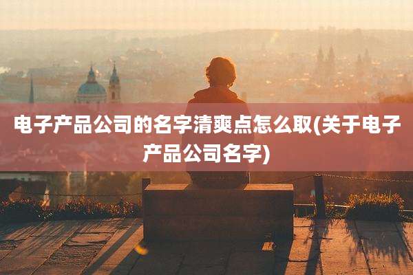 电子产品公司的名字清爽点怎么取(关于电子产品公司名字)