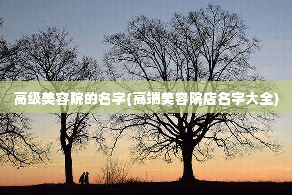 高级美容院的名字(高端美容院店名字大全)