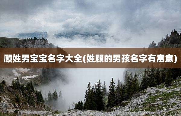 顾姓男宝宝名字大全(姓顾的男孩名字有寓意)