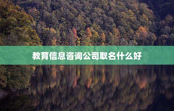 教育信息咨询公司取名什么好